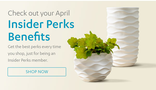 Check out your April Insider Perks Benefits | Shop Now >
