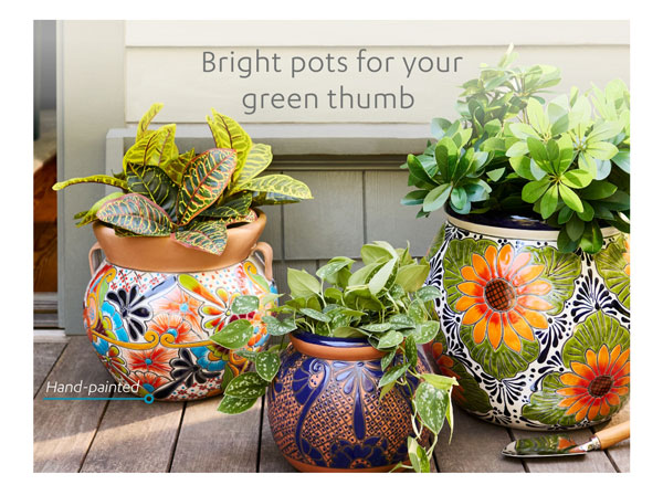 Bright pots for your green thumb