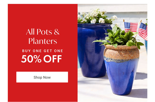 All Pots & Planters - Buy One Get One 50% OFF - Shop Now