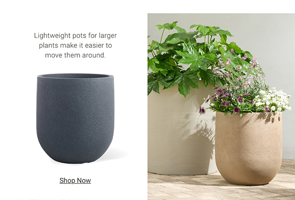Shop Lightweight Pots >