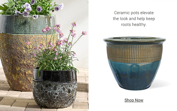 Shop Ceramic Pots >