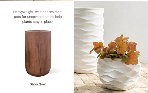 Shop Heavyweight Pots >
