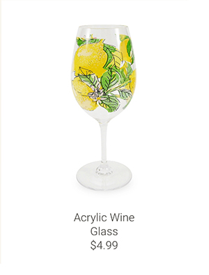 Acrylic Wine Glass
