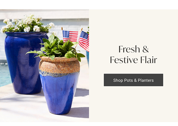 Fresh & Festive Flair | Shop Pots & Planters >