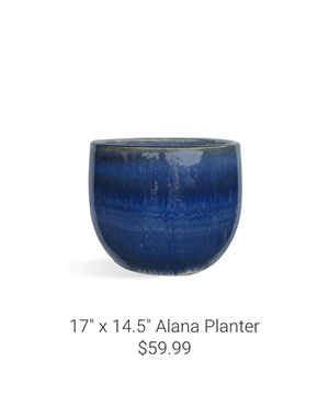 17" x 14.5" Alana Planter