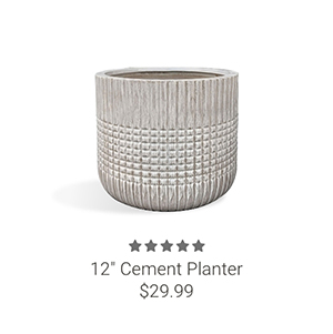 12" Cement Planter
