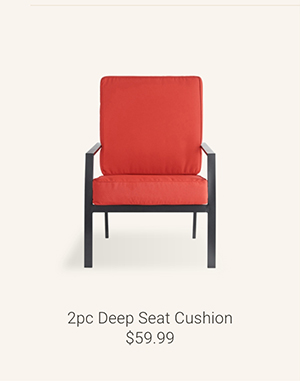 2pc Deep Seat Cushion