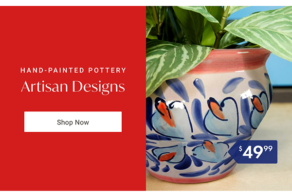 Shop Pots & Planters >