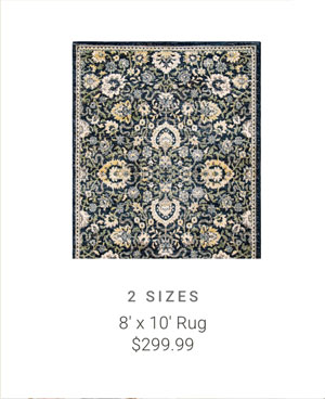 8' x 10' Rug