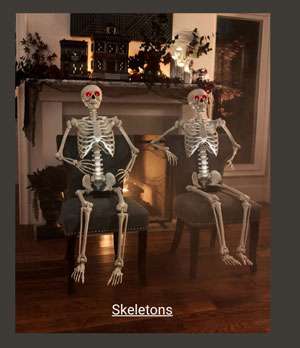Skeletons Category - Shop Now