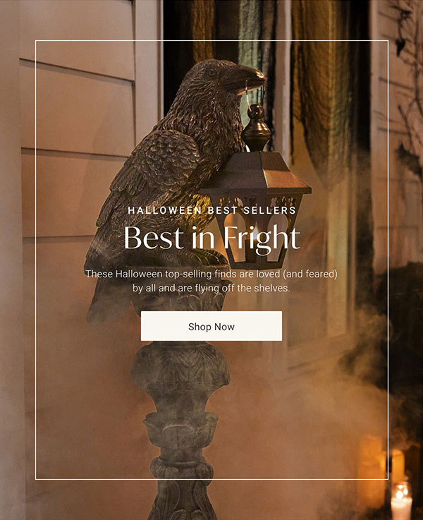 Halloween Best Sellers - Best in Fright - Shop Now