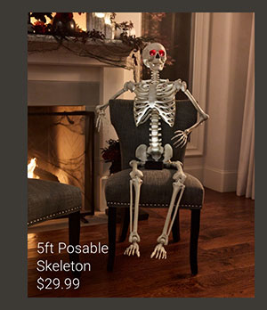 5ft Posable Skelton