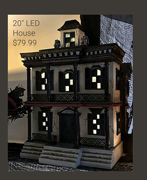 20" LED House 