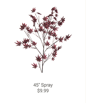 45" Spray
