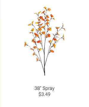 38" Spray
