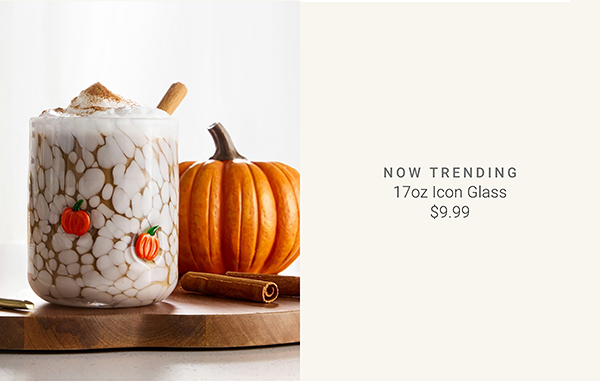 17oz Icon Glass