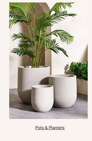 Pots & Planters - Shop Now