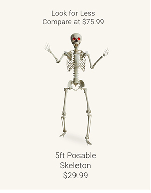 5ft Posable Skeleton