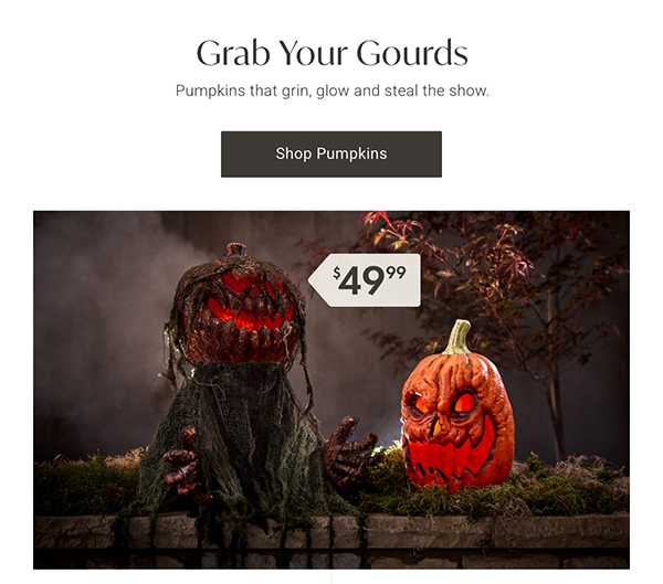 Grab Your Gourds | Shop Pumpkins >