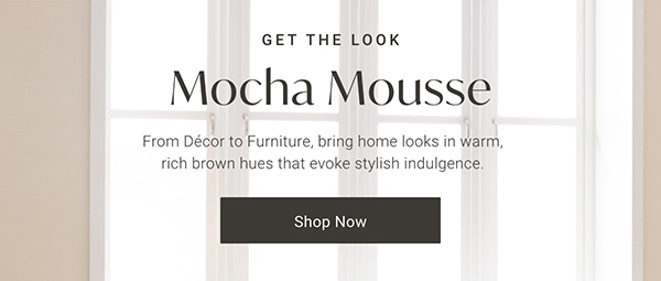 Get the Look: Mocha Mousse | Shop Now >