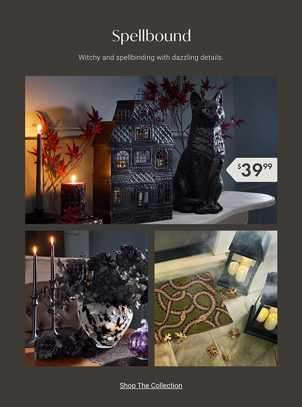 Spellbound | Shop the Collection >