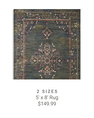 5' x 8' Rug