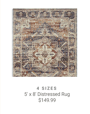 5' x 8' Distressed Rug