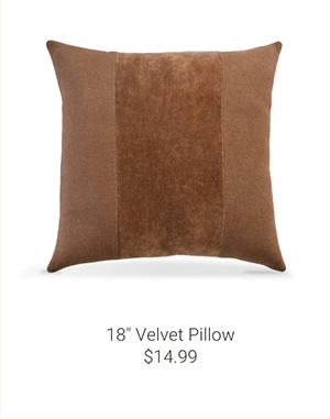 18" Velvet Pillow
