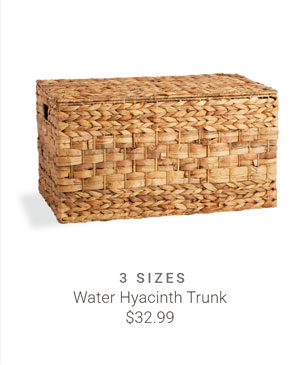 24" Water Hyacinth Trunk 