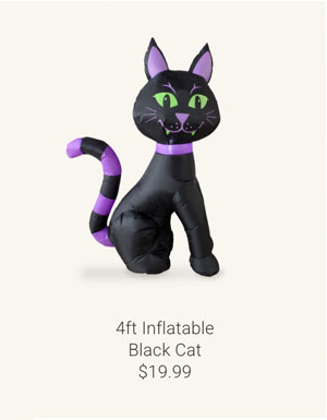 4ft Infatalbe Black Cat
