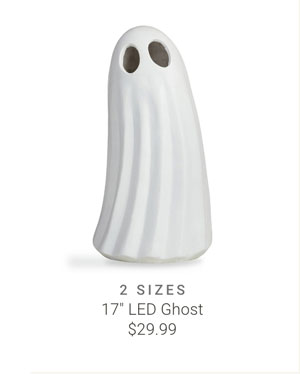 17" LED Ghost