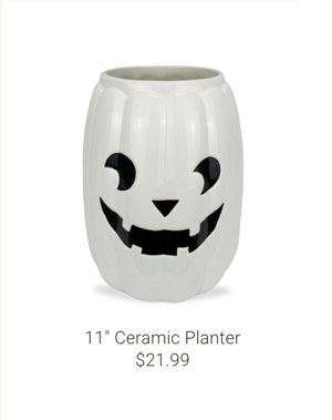 11" Ceramic Planter