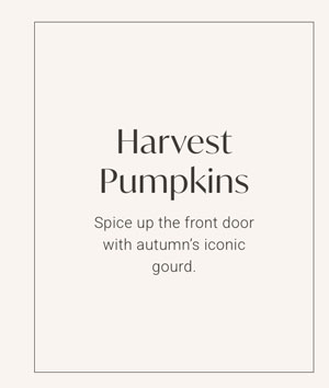 Harvest Pumpkins - Spice up the front door with autumn's iconic gourd.