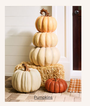Pumpkins - Shop Now