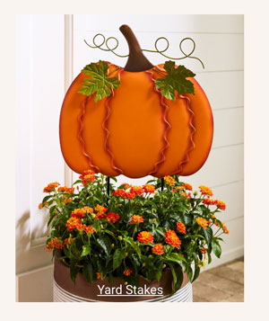 Yard Stakes - Shop Now