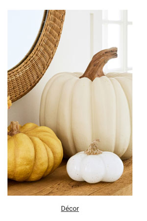 Shop Fall Decor Category