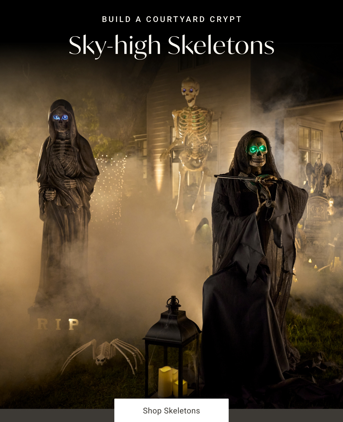 Sky-high Skeletons | Shop Skeletons >