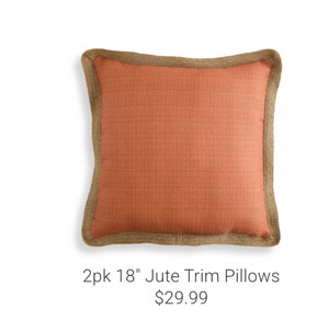 2pk 18" Jute Trim Pillows
