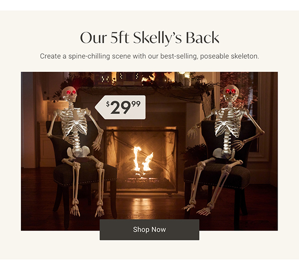 Our 5ft Skelly's Back | Shop Now >
