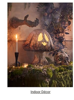 Indoor Décor >