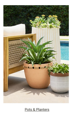 Pots & Planters - Shop Now