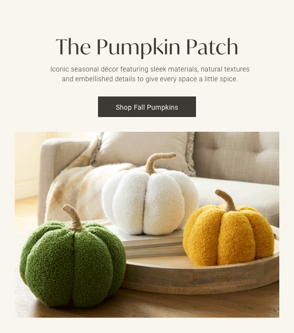 The Pumpkin Patch | Shop Fall Pumpkins >