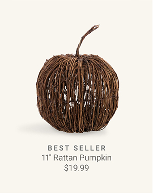 11" Rattan Pumpkin