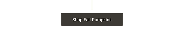 Shop Fall Pumpkins >