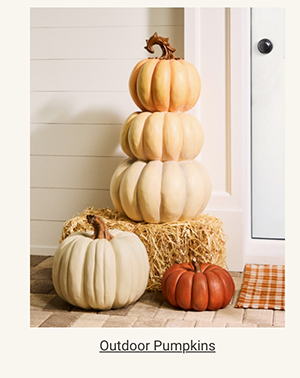 Outdoor Pumpkins >