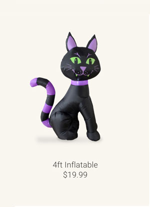 4fr Inflatable Black Cat