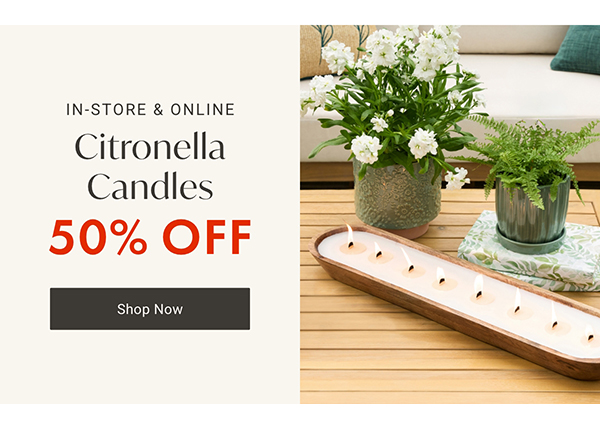 50% Off Citronella Candles | Shop Now >