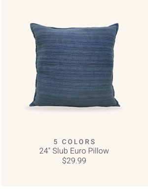 24" Slub Euro Pillow
