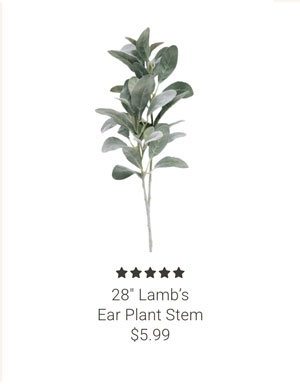 28" Lamb's Ear Plant Stem