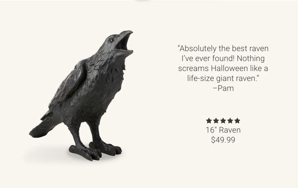 16" Raven